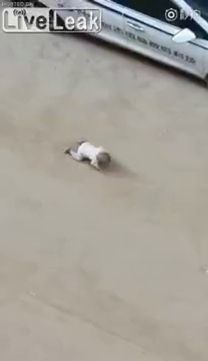 Ce père indigne laisse son bébé à 4 pattes dans la rue pendant qu'il téléphone