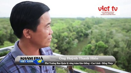 Đồng tháp 10-viet nam tourism. Cùng thưởng thức vẻ đẹp của Đồng tháp 10 nào mọi người