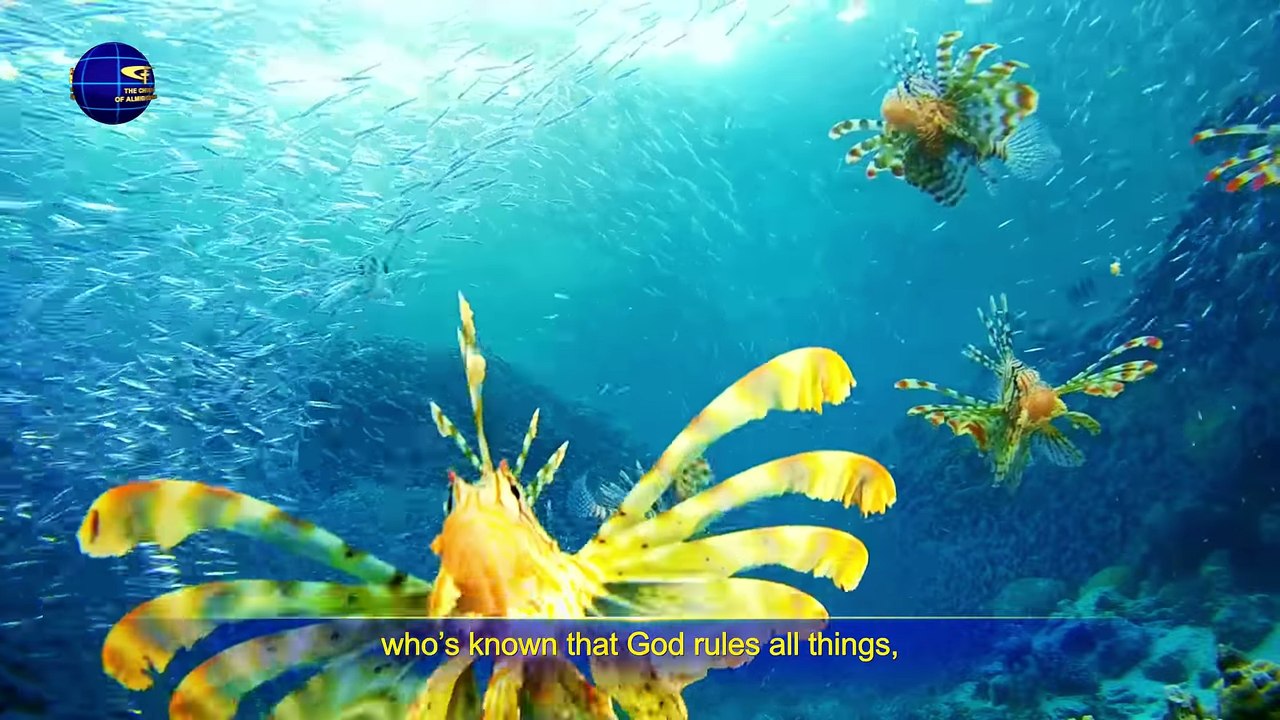 Christian Song "The Sorrow of Corrupt Mankind" God's Revelation of Corrupt Mankind in the Last Days