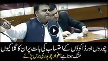 Fawad Chaudhry lashes out at opposition parties