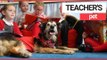 Adorable Dog Helps Young Schoolkids, Even Has Bag and Uniform! | SWNS TV