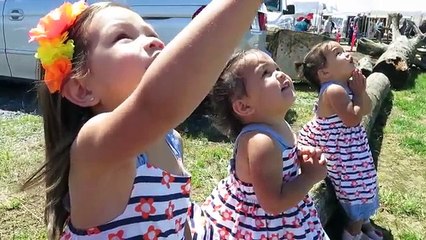 Quand trois petites filles essaient d'attraper un cerf-volant