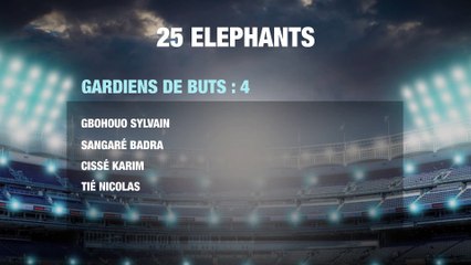 Éliminatoires CAN 2019: Côte d'Ivoire-Centrafrique: Voici les Gardiens de Buts  de Kamara Ibrahim