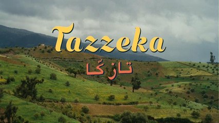 Egy boldogabb élet reményéről szól a Tazzeka