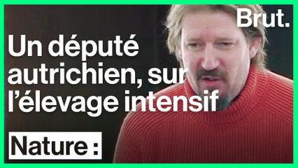 Thomas Waitz, député autrichien, sur l'élevage intensif de poulets