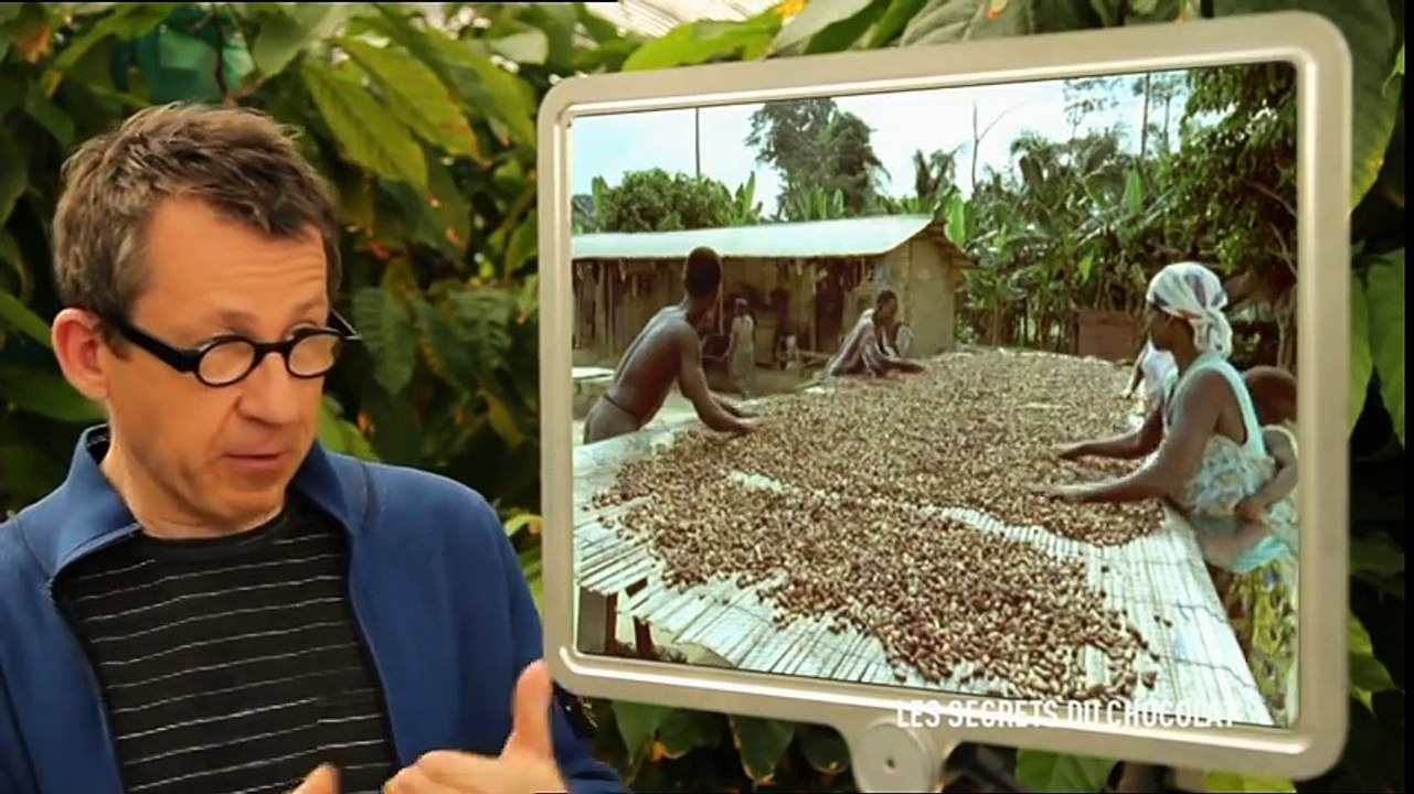 C'est pas sorcier - Les secrets du chocolat - how chocolate is made -  ¿Cómo se hace el chocolate?