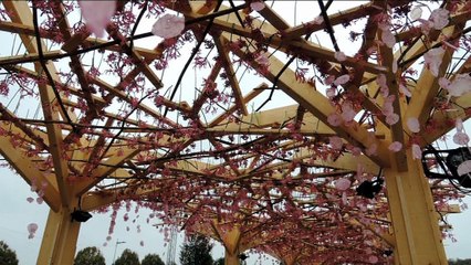Dans les allées du plus grand des jardins de Folie’Flore