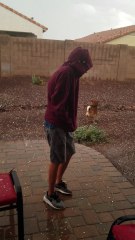 Dog Can't Get Enough of Hail
