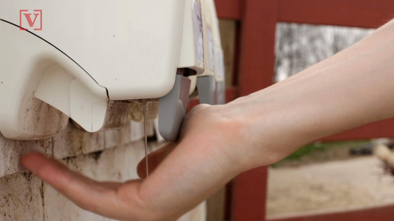 Study: Kids Who Use Hand Sanitizer Over Soap & Water Miss Less School