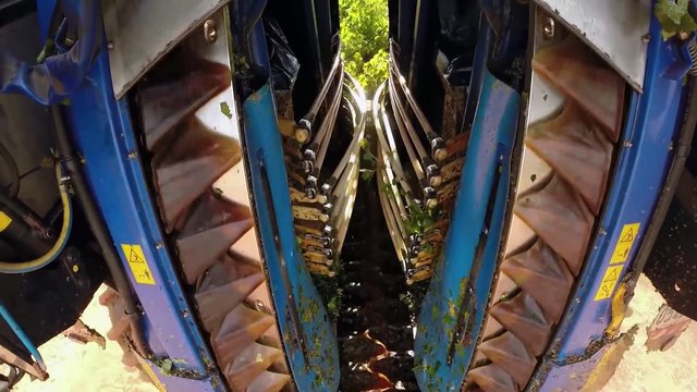 SERİ ŞARAP ÜRETİMİ NASIL YAPILIR? | Türkçe Dublaj