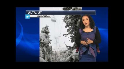 Cette présentatrice météo avait invité le plus mignon des assistants