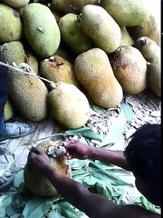 ചക്കയിൽ മരുന്ന് കുത്തി വയ്ക്കുന്നത് നോക്കൂ.. മാക്സിമം ഷെയർ ചെയ്യൂ