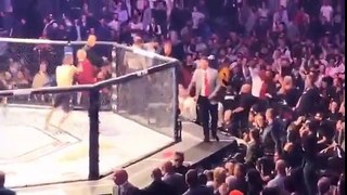 Khabib Vs  Conor McGregor Teamates fights  After UFC 229