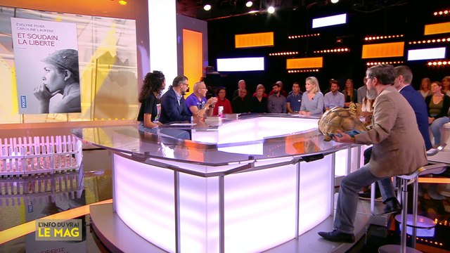 Les français et les animaux sauvages - L'Info du vrai du 08/10 - CANAL+