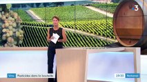 Vins : des pesticides et additifs retrouvés dans nos bouteilles