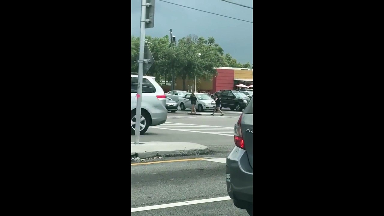 Elles aident un alligator à traverser la route