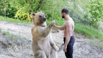 Belle amitié entre un gros ours et son maitre