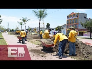 Programa de rescate para Baja California Sur / David Páramo