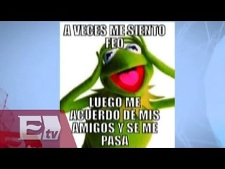 Mejores memes de la Rana René / Óscar Cedillo