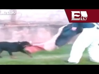 Desde la red: Perro ataca a entrenador inexperto /Titulares