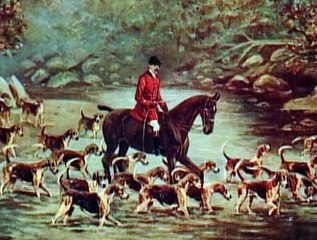 Biography Ch Great Explorers 1  of  3 Charles Darwin
