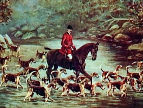 Biography Ch Great Explorers 1 of 3 Charles Darwin