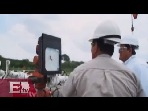 CFE y PEMEX preparar un recorte de gastos/Dinero