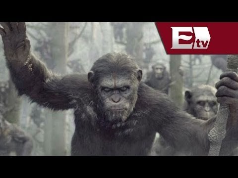 Planeta de los Simios: Confrontación se estrenará el próximo 24 de julio / Loft Cinema