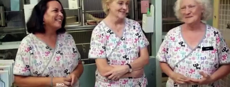 Save Our Shelter S02E12 Valley Humane Society