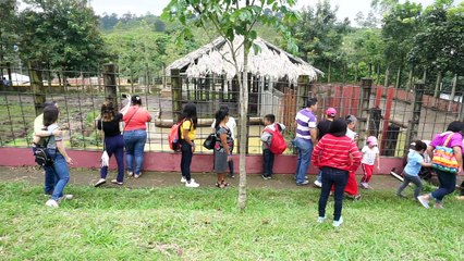 Um zoológico em apuros