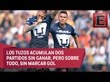 Pumas busca mantener racha victoriosa ante Pachuca