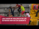 ¿Qué medidas se deben tomar para reforzar la seguridad en los estadios?