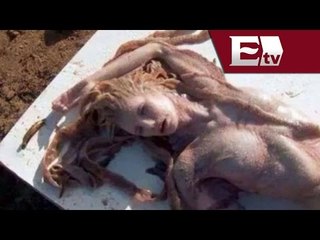 Sirena de Piratas del Caribe causa controversia en México  / Joanna Vegabiestro