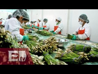 México: exportaciones agropecuarias crecen 9.8% en primer semestre de 2015/ Paul Lara