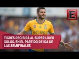 Tigres en la búsqueda del bicampeonato