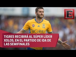 Tigres en la búsqueda del bicampeonato