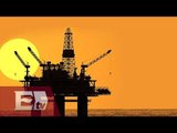 Sierra Oil & Gas invertirá entre 145 y 150 mdd en exploración de pozos petroleros / Rodrigo Pacheco