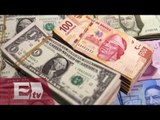 Dólar rompe la barrera de los 17 pesos/ Darío Celis