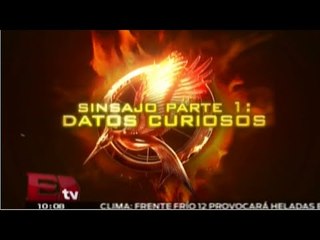 Detalles de la primer parte de Sinsajo / Adrián Ruiz