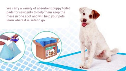 The Best Dog Training Pads