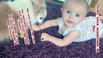 La hija de Aislinn Derbez y Mauricio Ochmann, Kailani juega con su mascota