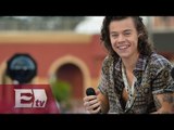 ¿Harry Styles el próximo en abandonar One Direction? / Joanna Vegabiestro