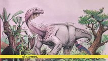 South Africa: New species of dinosaur discovered