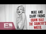 Pamela Anderson se desnuda para campaña de protección animal / Joanna Vegabiestro