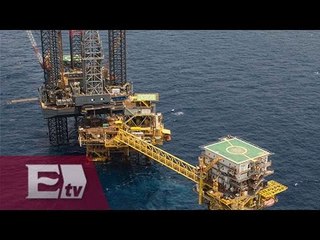 Fueron 14 petroleras precalifican para aguas profundas / Darío Celis