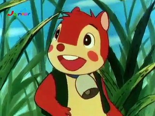 Puschel - Das Eichhorn E03