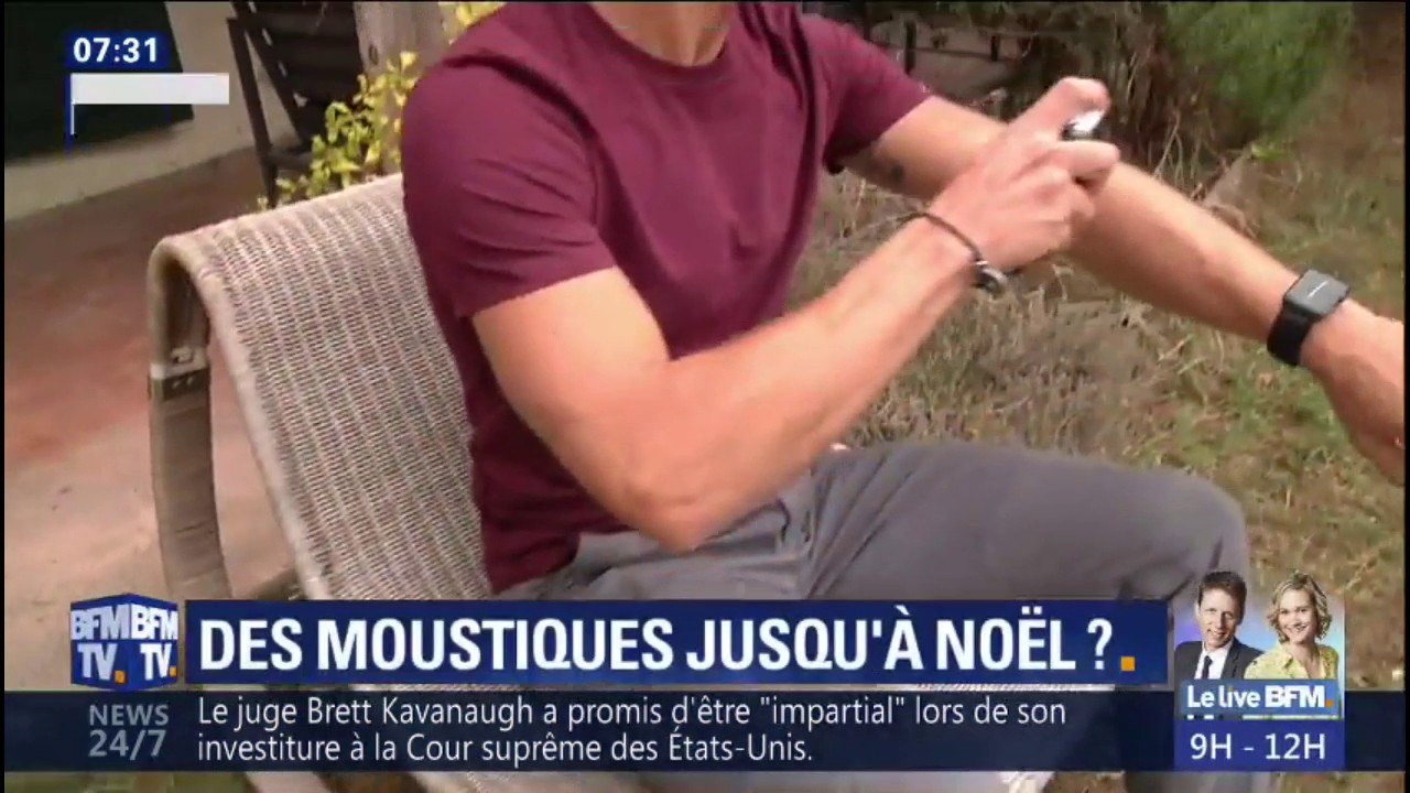 Y aura-t-il des moustiques jusqu'à Noël cette année?