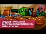 Pernod Ricard tendrá participación mayoritaria de mezcal Del Maguey