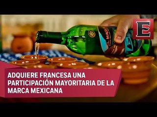 Pernod Ricard tendrá participación mayoritaria de mezcal Del Maguey