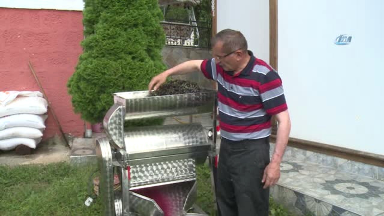 Rize'de Pekmez Kazanları Kaynamaya Başladı